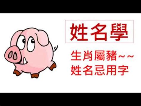 屬豬姓名學|【生肖姓名學】生肖屬豬喜忌用字－歹命人自救會：「補八字六派。